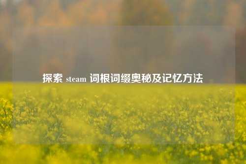 探索 steam 词根词缀奥秘及记忆 ***