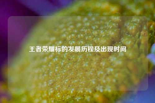 王者荣耀标的发展历程及出现时间