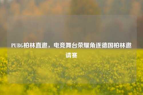 PUBG柏林直邀,电竞舞台荣耀角逐德国柏林邀请赛