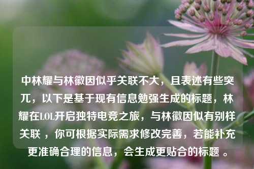 中林耀与林徽因似乎关联不大,且表述有些突兀,以下是基于现有信息勉强生成的标题,林耀在LOL开启独特电竞之旅,与林徽因似有别样关联 ,你可根据实际需求修改完善,若能补充更准确合理的信息,会生成更贴合的标题 。