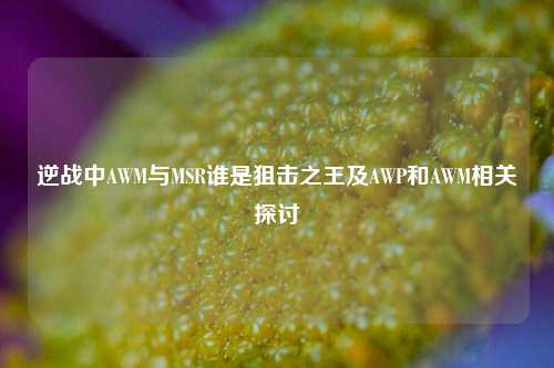 逆战中AWM与MSR谁是狙击之王及AWP和AWM相关探讨