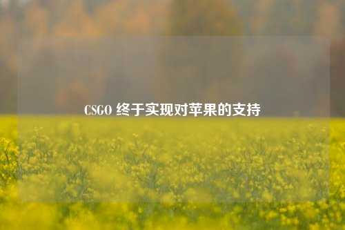 CSGO 终于实现对苹果的支持