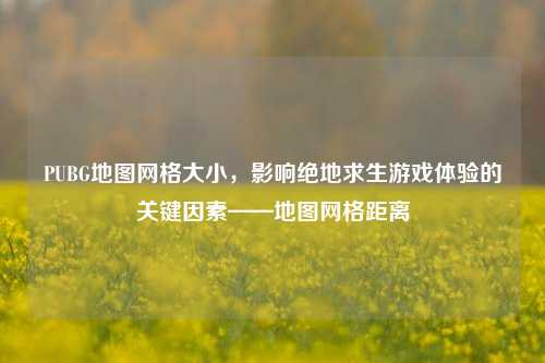 PUBG地图网格大小，影响绝地求生游戏体验的关键因素——地图网格距离