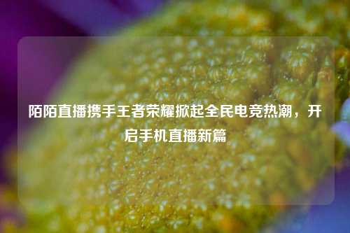 陌陌直播携手王者荣耀掀起全民电竞热潮，开启手机直播新篇