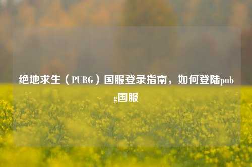 绝地求生（PUBG）国服登录指南，如何登陆pubg国服