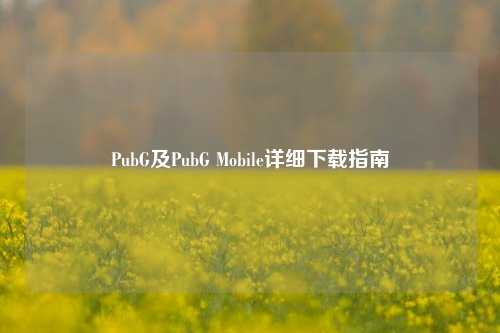 PubG及PubG Mobile详细下载指南