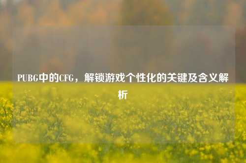 PUBG中的CFG,解锁游戏个性化的关键及含义解析
