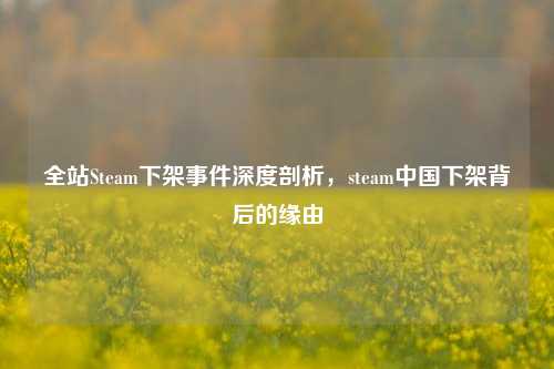全站Steam下架事件深度剖析,steam中国下架背后的缘由