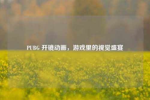PUBG 开镜动画,游戏里的视觉盛宴