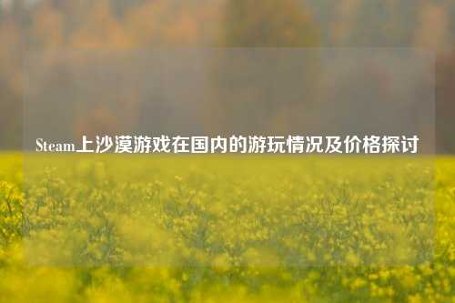 Steam上沙漠游戏在国内的游玩情况及价格探讨