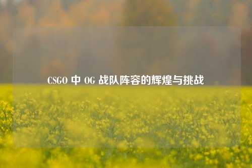 CSGO 中 OG 战队阵容的辉煌与挑战