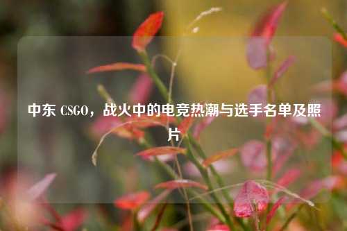中东 CSGO,战火中的电竞热潮与选手名单及照片