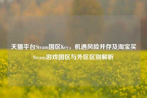 天猫平台Steam国区Key,机遇风险并存及 *** 买Steam游戏国区与外区区别解析