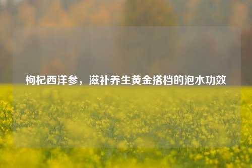 枸杞西洋参,滋补养生黄金搭档的泡水功效