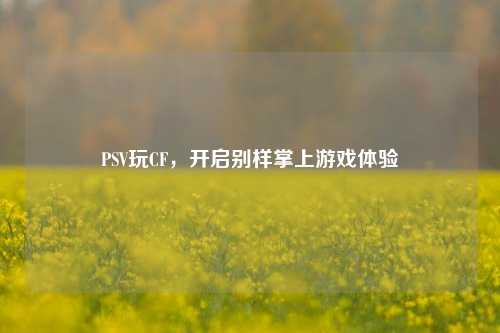PSV玩CF,开启别样掌上游戏体验