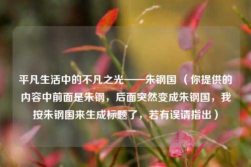 平凡生活中的不凡之光——朱钢国 （你提供的内容中前面是朱钢，后面突然变成朱钢国，我按朱钢国来生成标题了，若有误请指出）