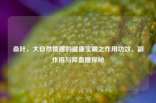 桑叶,大自然馈赠的健康宝藏之作用功效、副作用与降血糖探秘
