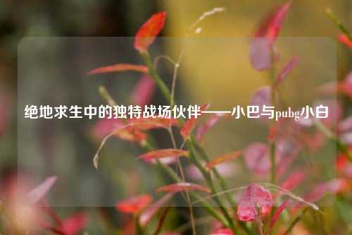 绝地求生中的独特战场伙伴——小巴与pubg小白