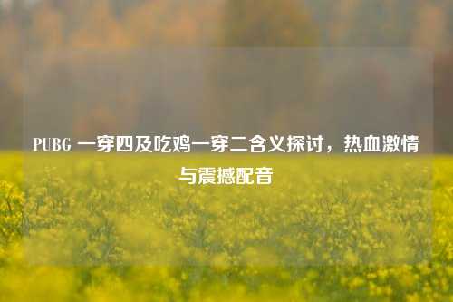 PUBG 一穿四及吃鸡一穿二含义探讨,热血***与震撼配音