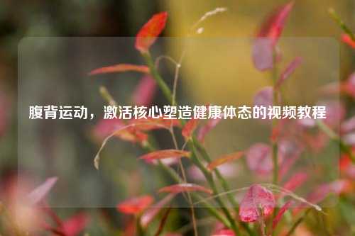 腹背运动,激活核心塑造健康体态的视频教程