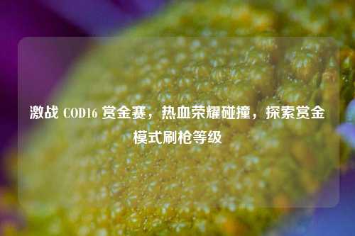 激战 COD16 赏金赛,热血荣耀碰撞,探索赏金模式刷枪等级