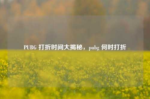 PUBG 打折时间大揭秘,pubg 何时打折