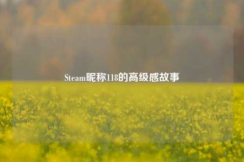 Steam昵称118的高级感故事
