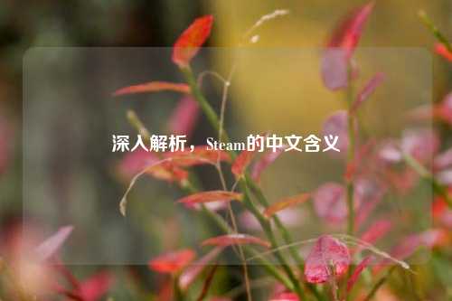 深入解析，Steam的中文含义