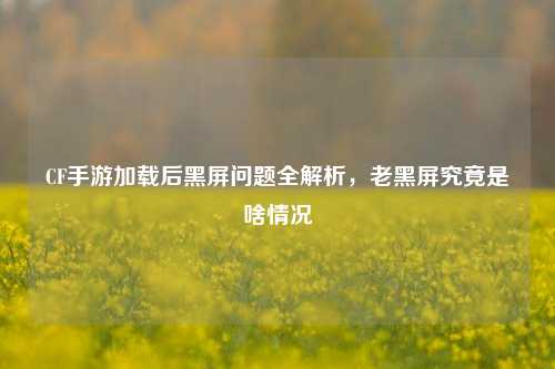 CF手游加载后黑屏问题全解析,老黑屏究竟是啥情况
