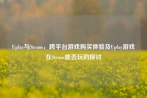 Uplay与Steam，跨平台游戏购买体验及Uplay游戏在Steam能否玩的探讨