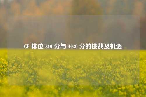 CF 排位 310 分与 4030 分的挑战及机遇