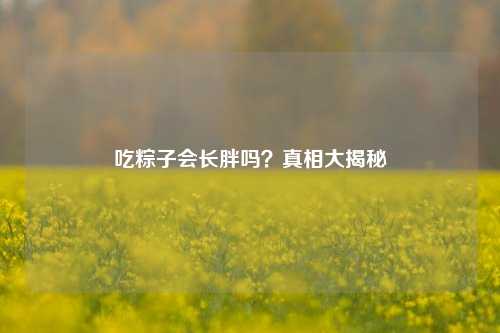 吃粽子会长胖吗?真相大揭秘