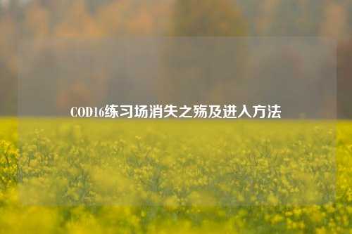 COD16练习场消失之殇及进入 *** 