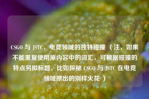 CSGO 与 *** TC,电竞领域的独特碰撞 (注,如果不能重复使用原内容中的词汇,可根据碰撞的特点另拟标题,比如探秘 CSGO 与 *** TC 在电竞领域擦出的别样火花 )