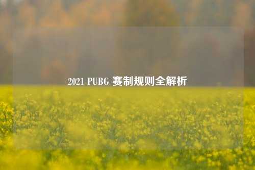 2021 PUBG 赛制规则全解析