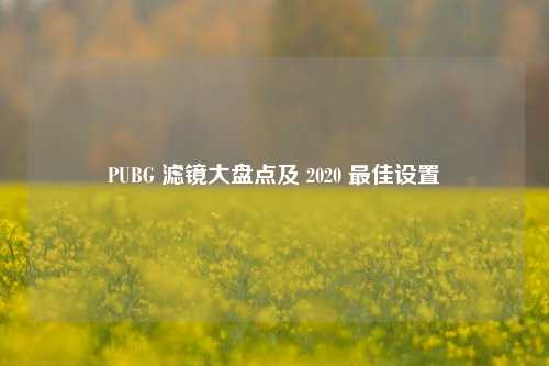 PUBG 滤镜大盘点及 2020 更佳设置