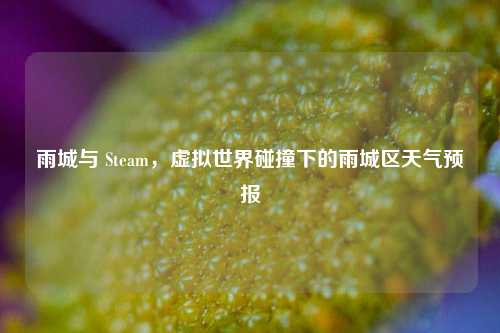 雨城与 Steam，虚拟世界碰撞下的雨城区天气预报