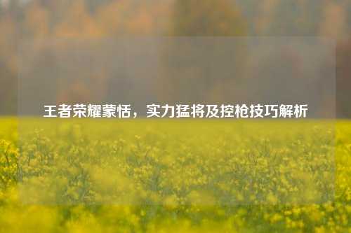 王者荣耀蒙恬,实力猛将及控枪技巧解析