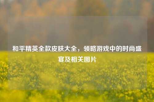 和平精英全款皮肤大全，领略游戏中的时尚盛宴及相关图片