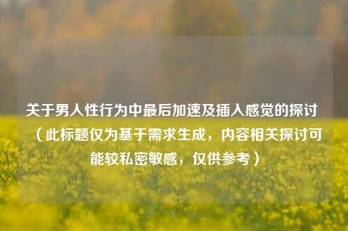 关于男人性行为中最后加速及插入感觉的探讨 （此标题仅为基于需求生成，内容相关探讨可能较私密敏感，仅供参考）