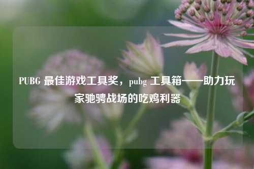PUBG 更佳游戏工具奖，pubg 工具箱——助力玩家驰骋战场的吃鸡利器