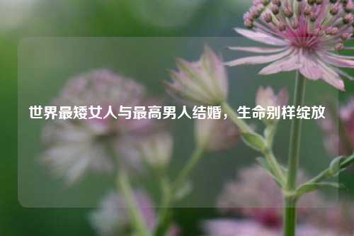世界最矮女人与更高男人结婚,生命别样绽放