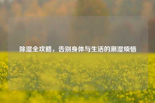 除湿全攻略，告别身体与生活的潮湿烦恼