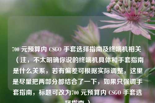 700 元预算内 CSGO 手套选择指南及终端机相关 （注，不太明确你说的终端机具体和手套指南是什么关系，若有偏差可根据实际调整，这里是尽量把两部分都结合了一下，如果只强调手套指南，标题可改为700 元预算内 CSGO 手套选择指南 ）