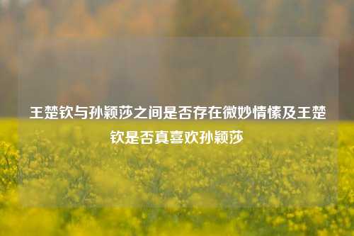 王楚钦与孙颖莎之间是否存在微妙情愫及王楚钦是否真喜欢孙颖莎