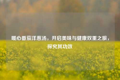 暖心番茄洋葱汤，开启美味与健康双重之旅，探究其功效