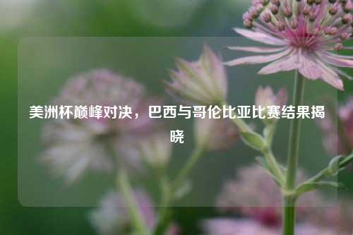 美洲杯巅峰对决,巴西与哥伦比亚比赛结果揭晓