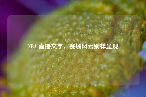 NBA 直播文字,赛场风云别样呈现