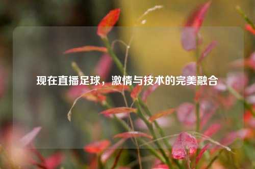 现在直播足球,***与技术的完美融合