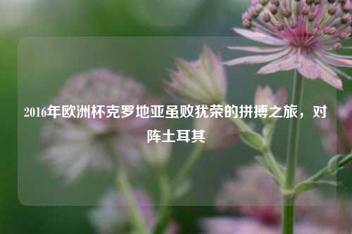 2016年欧洲杯克罗地亚虽败犹荣的拼搏之旅,对阵土耳其